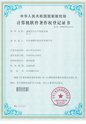 構(gòu)筑數(shù)字世界的堅實(shí)防線 我們的網(wǎng)絡(luò)與信息安全軟件開發(fā)之路